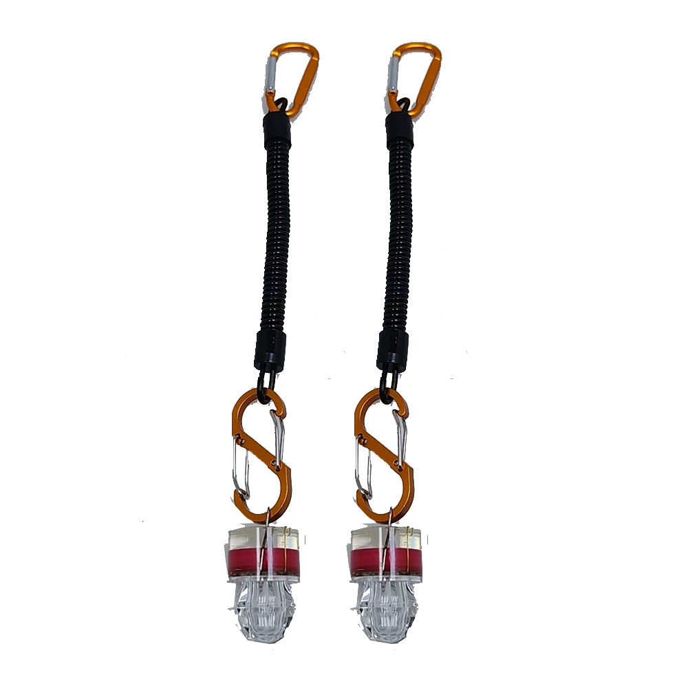 2-3 قطع من أضواء الصيد LED مع  - مراجعة Fish Alarm وسعره